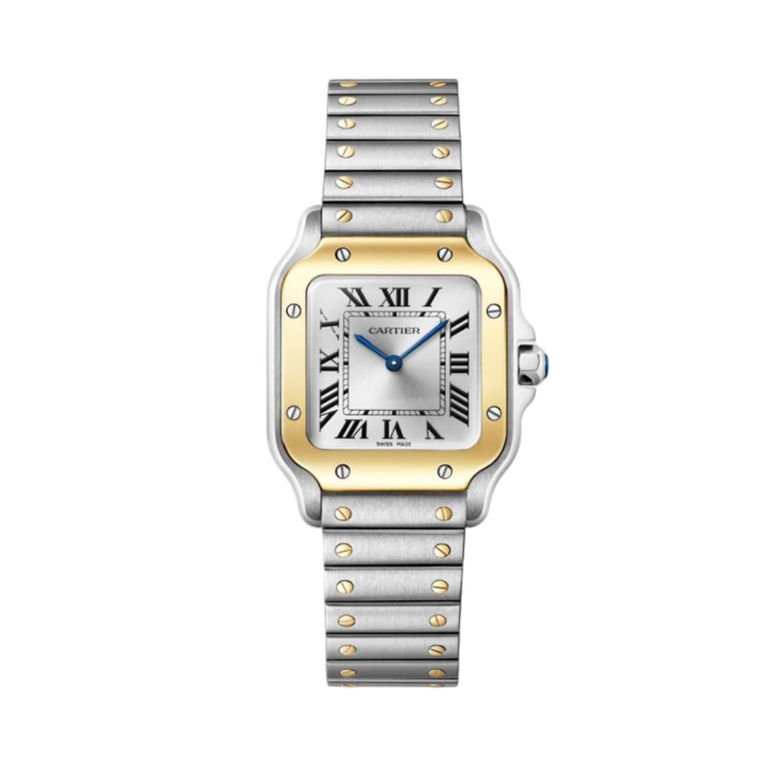 small Santos de Cartier watch