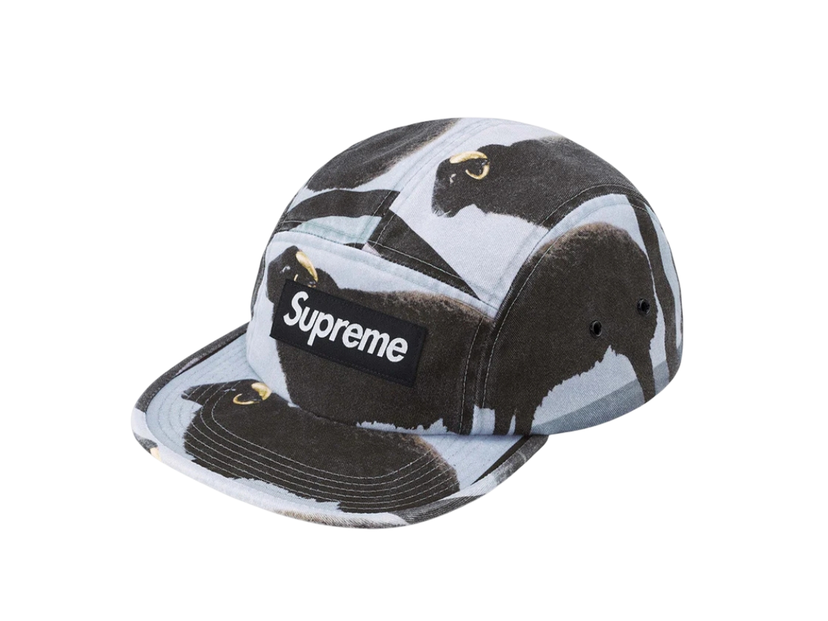 Supreme x Damien Hirst Camp Cap (Black)