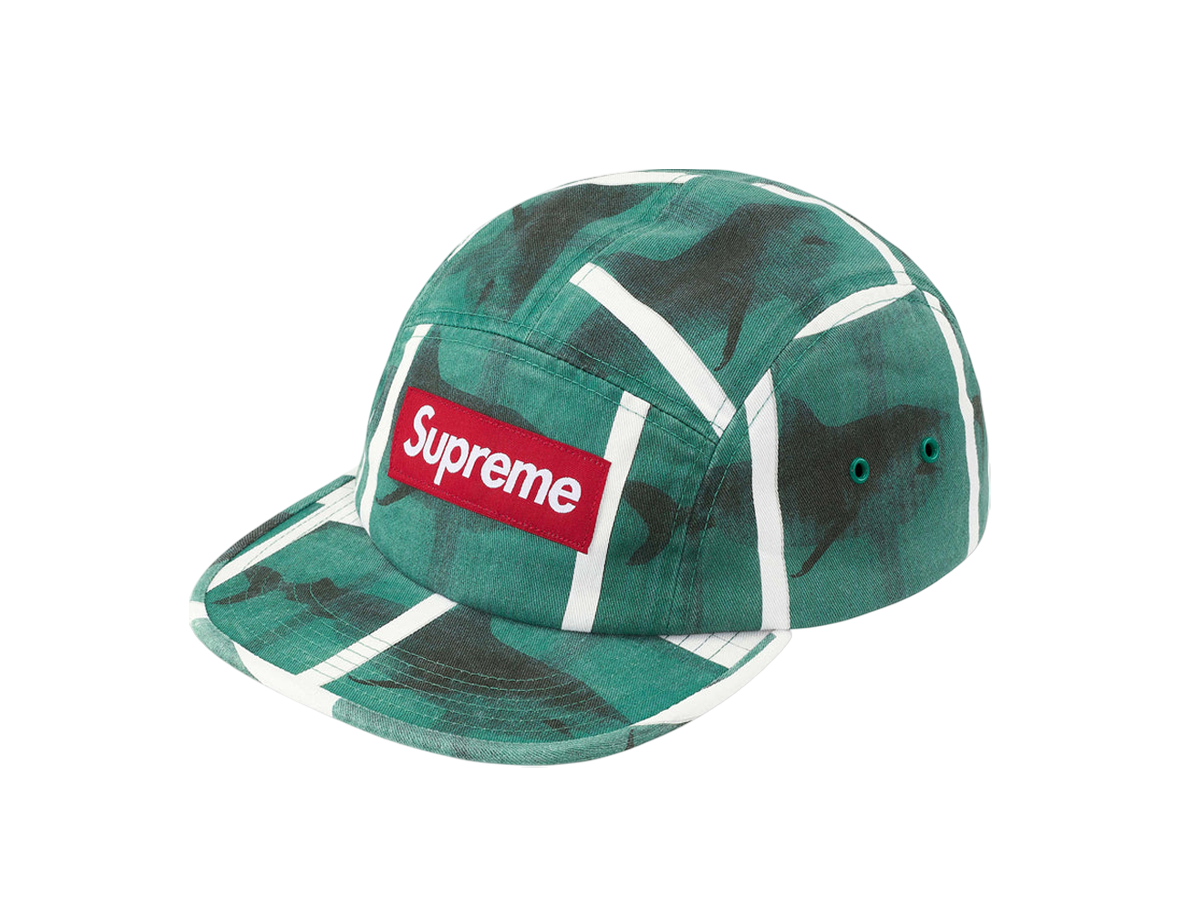 Supreme x Damien Hirst Camp Cap (Forest Green)