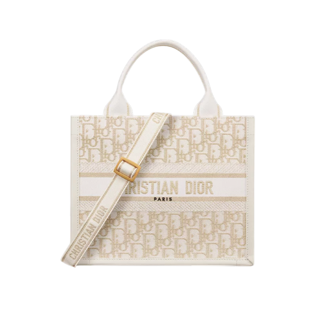 Small Dior Book Tote Bag