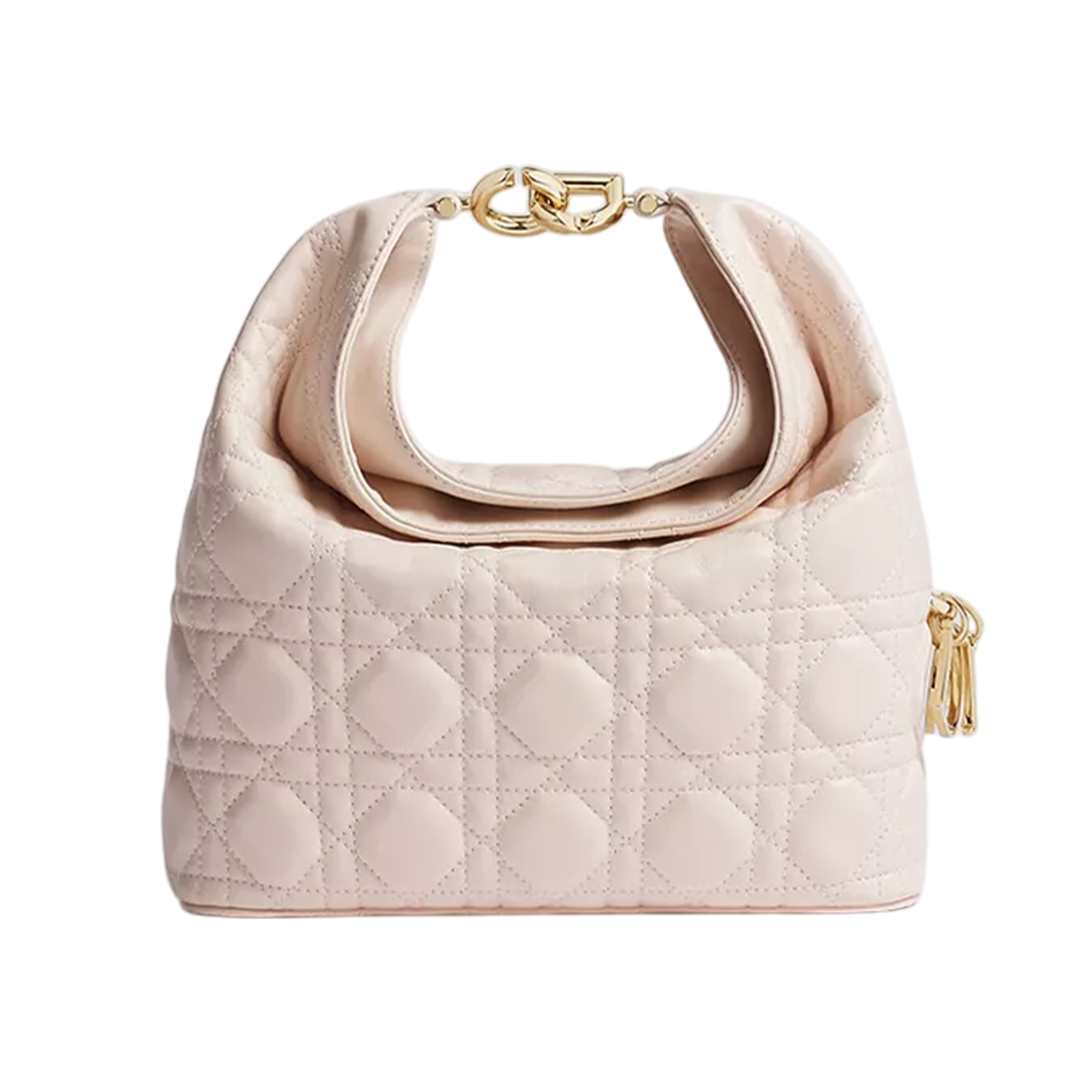 Small Dior Toujours hobo bag