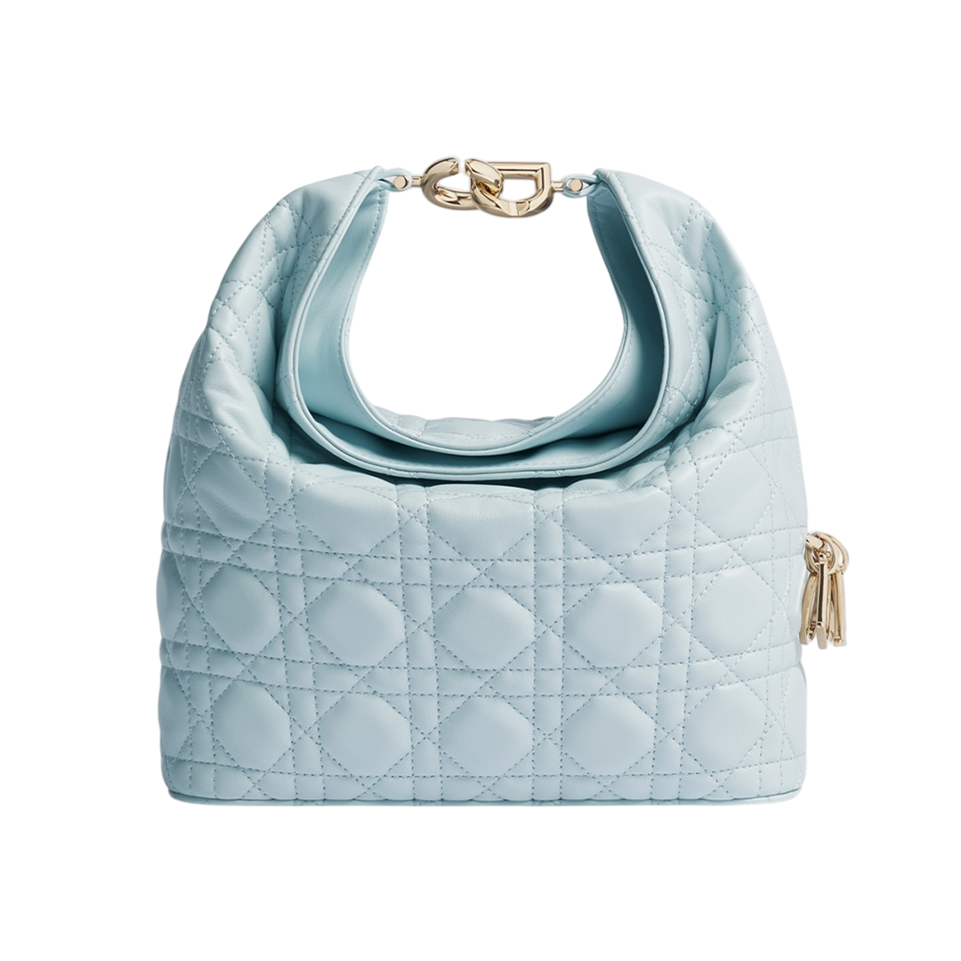 Small Dior Toujours hobo bag