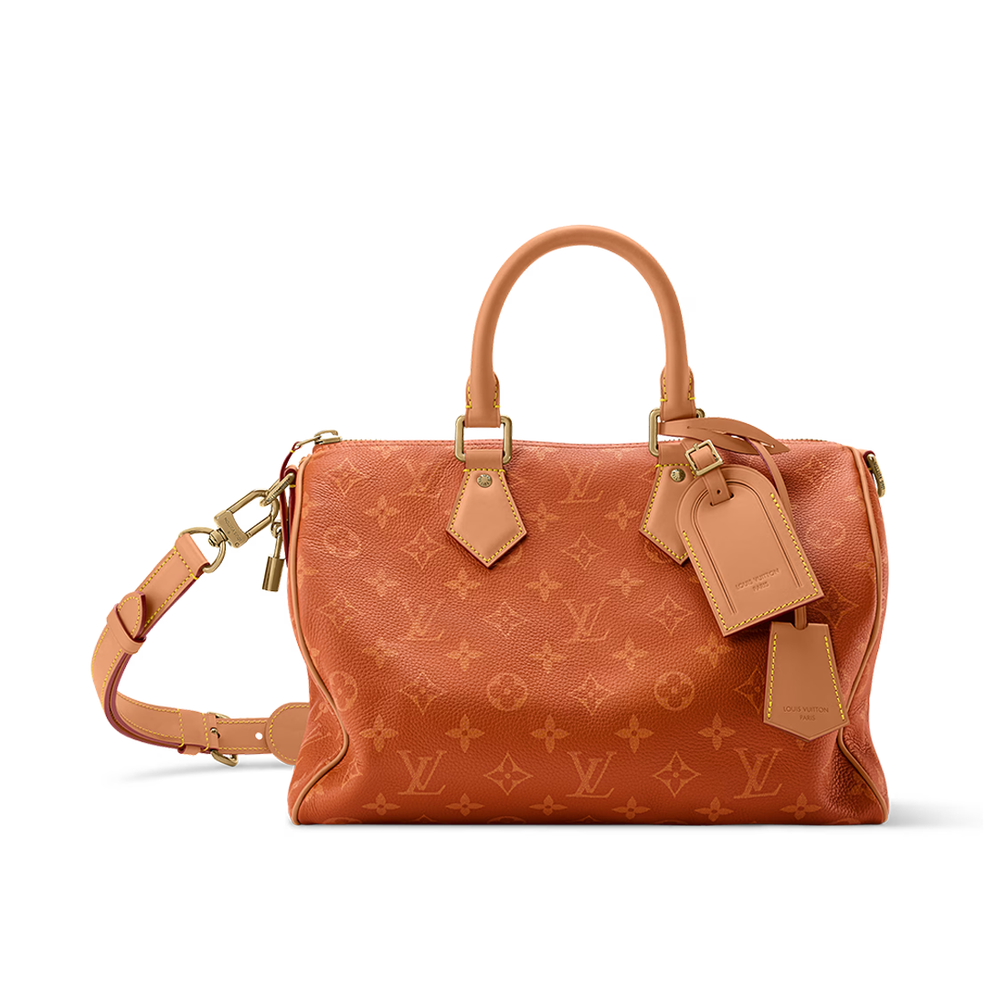 Speedy Bandoulière 30 bag