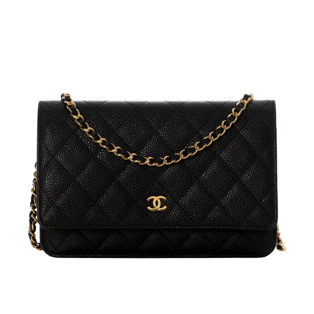 Wallet On Chain bag