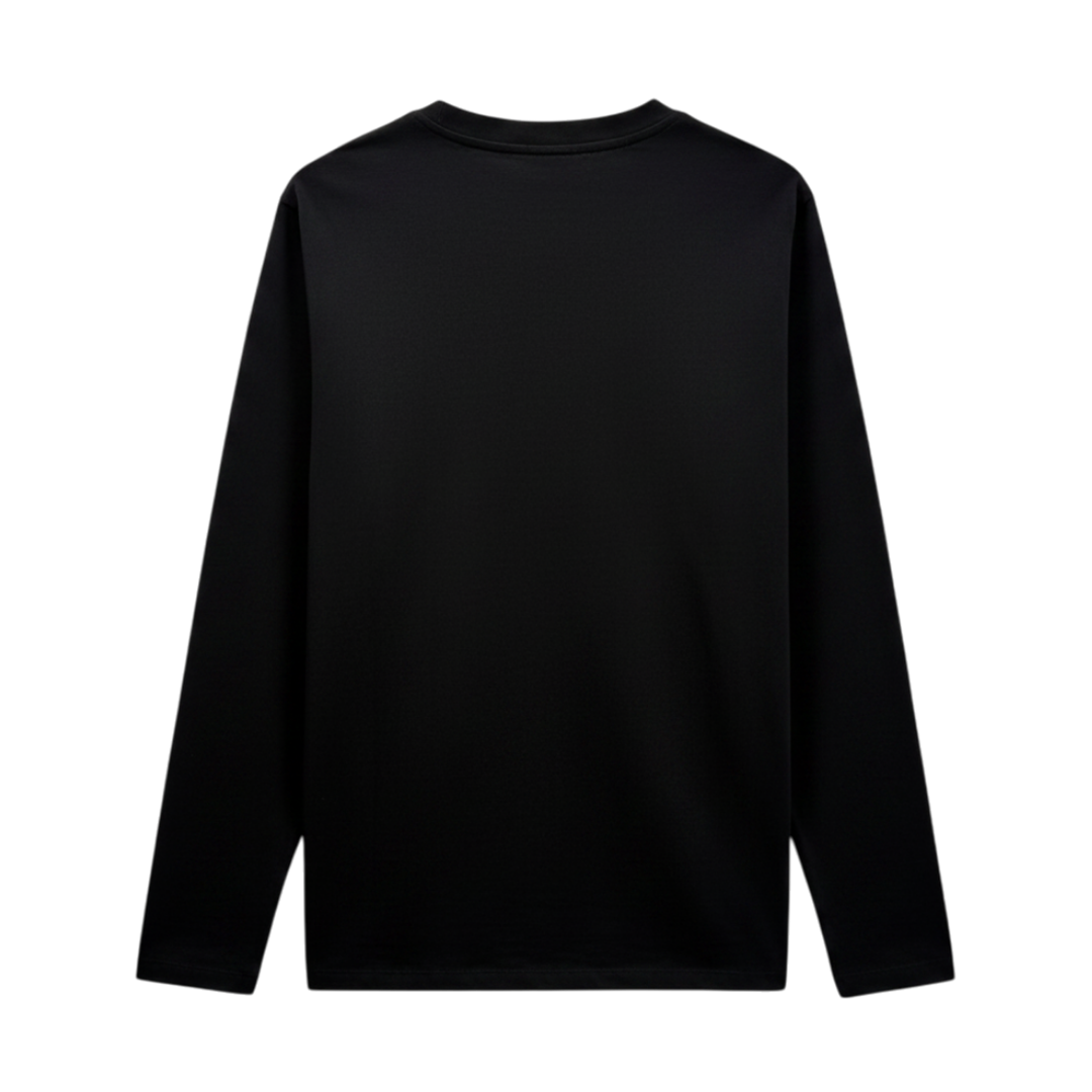 Long Sleeve T-Shirt in Cotton Jersey with Triomphe Embroidery