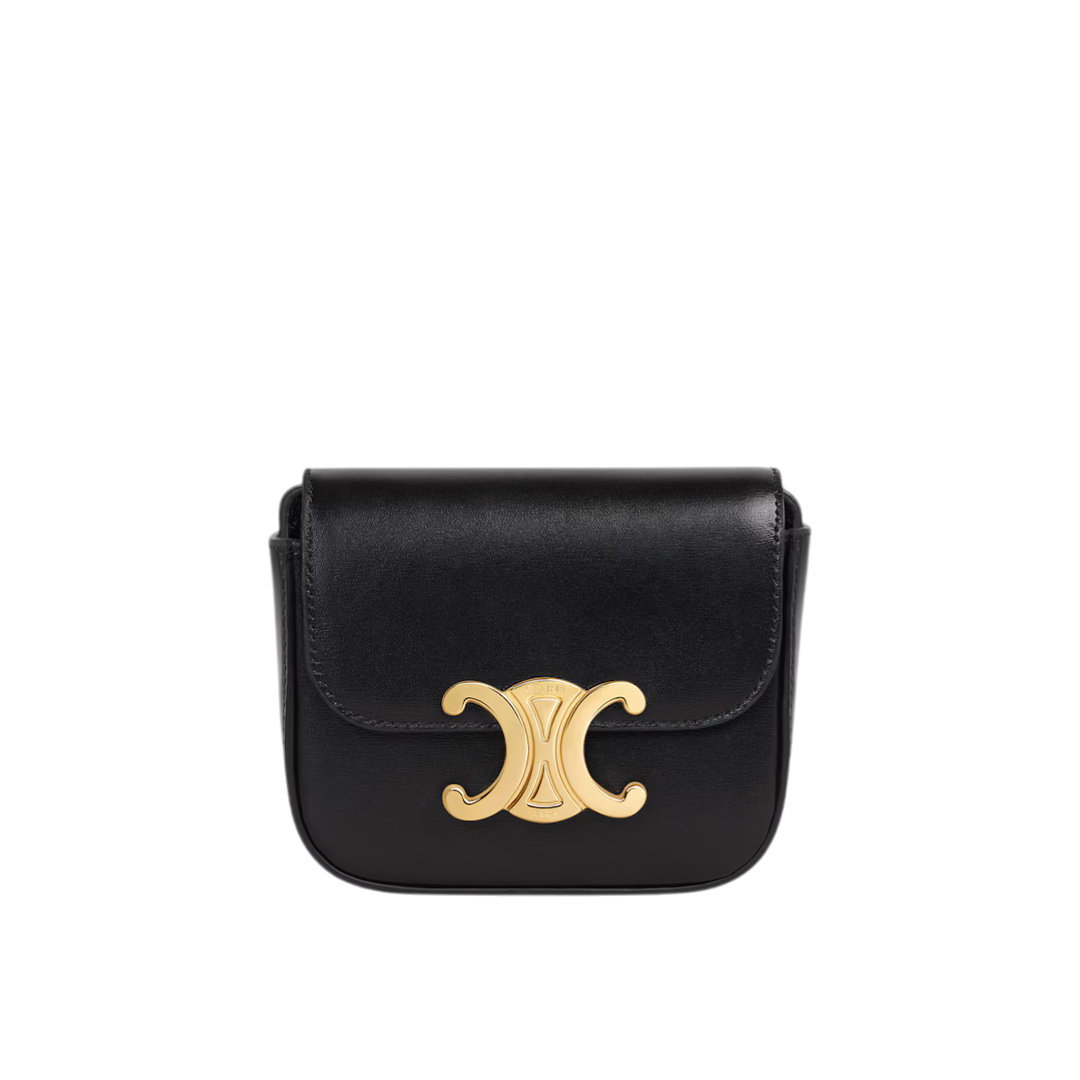 MINI CLAUDE IN Shiny calfskin