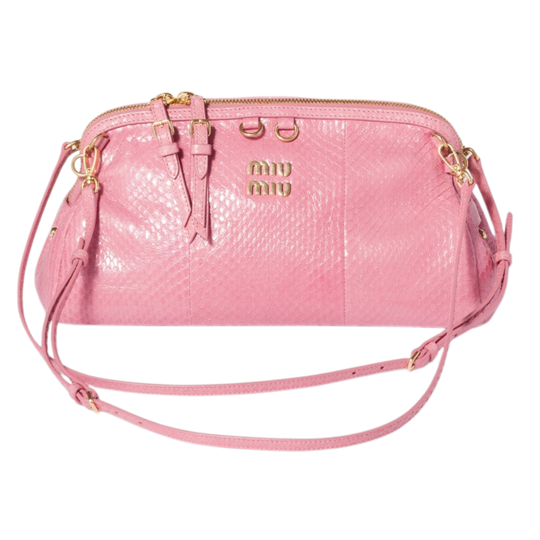 Caprice Ayers leather clutch